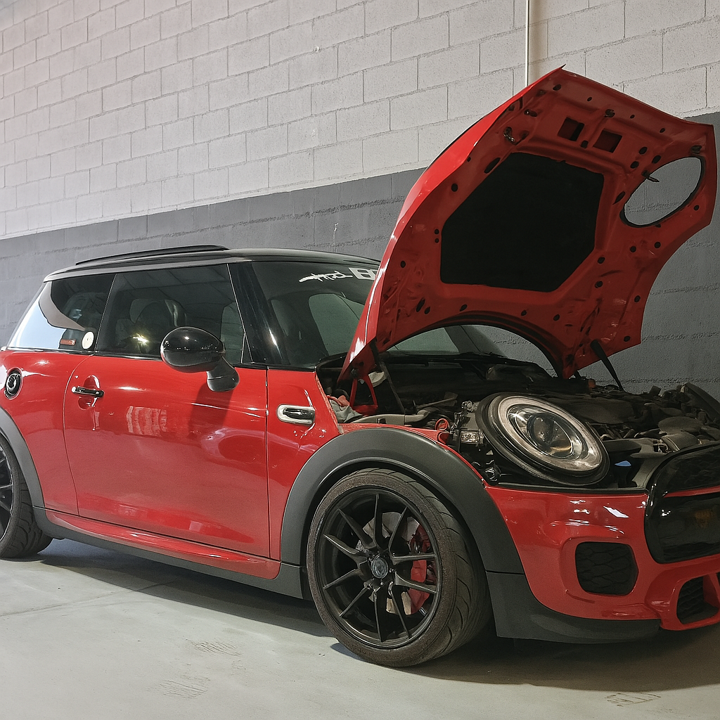 mini rojo